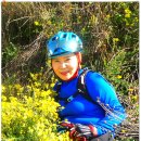 광명대교 이미지