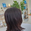 다인헤어(DAIN)