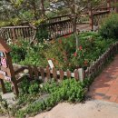 쿠크다스펜션민박 이미지