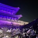 행궁동 축제 2024 수원 화성 미디어아트쇼 후기