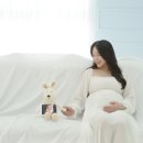 진평 Daum카페