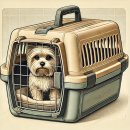 반려동물과함께하는#설렘 이미지