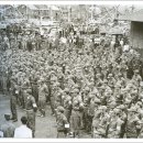 제주의 추억 이미지