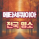덕산면001 티스토리