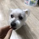 종로맥가예산점