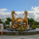 국립수산과학원 이미지