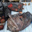 동해-단속-38 이미지