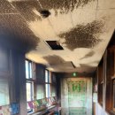 보듬자리 주식회사 이미지