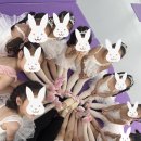 예종리즈발레학원 이미지