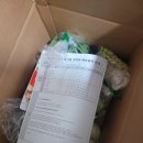 (주)친환경 | 2025년 제주 임산부 친환경농산물 꾸러미 후기 🌿