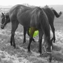 은석목장 이미지