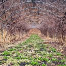 금무리농장 이미지