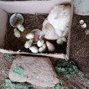 김정기농장 이미지