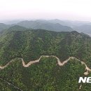 꼬부랑길 이미지