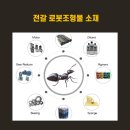 기타 조형물 이미지