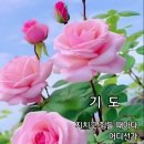 바닥짐(ballast 평형수) 이미지