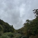 유정목장-2 이미지