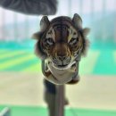 237골프아카데미 | 🏌️‍♂️밀리토피아골프아카데미: 수도권 최대의 골프 레인지🏌️‍♀️