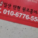 일산탄현 원조홍어무침 이미지