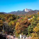 옥빛공원 이미지