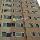 죽전로264번길 Daum카페