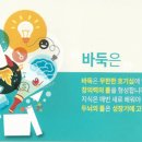 영재바둑 이미지