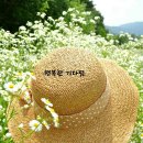 사랑투