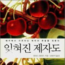 영성개발