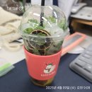 [윙클 일상] 눈물로 보낸 봄날들