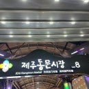 겨울 제주 여행기