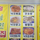 뻘속낙지 이미지