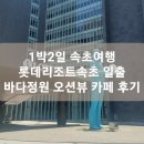 목동 소나무향기 태권도 | [1박2일 속초여행] 롯데리조트속초 호텔형 오션뷰 동해 일출 &amp; 바다정원 오션뷰 카페 후기
