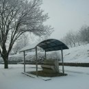 마산초등학교병설유치원 이미지