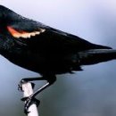 화인아파트(남) 이미지