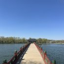 연꽃섬 | [충남/부여] 부여 가면 꼭 가볼곳!!/ 버들나무 연꽃축제 등등 부여의 명소!! 부여 궁남지 / 당일치기...