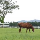 예정목장 이미지