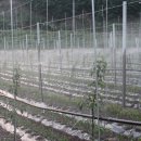 재식농장 이미지