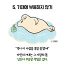 보까 이미지