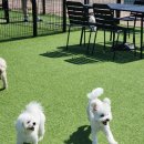 어뮤즈 호텔 이미지