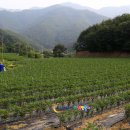 새농민농장(1농장) 이미지