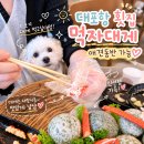 먹자대게 - 속초시 | 대포항 횟집 먹자대게 애견동반 가능한 속초 대게 후기