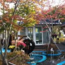 고향식당 이미지