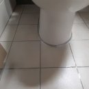 선운다사로움 이미지