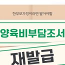 한부 | 양육비부담조서 재발급 후기(한부모지원받으려면필수!)