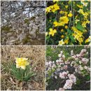 헤이리길 이미지