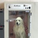 겟풀(GETPOOL) 이미지