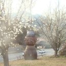 산너머남촌 이미지