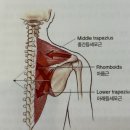 리프레싱필라테스