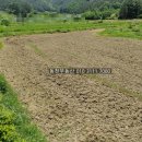 구산면570 이미지