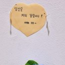아나스타시스 이미지